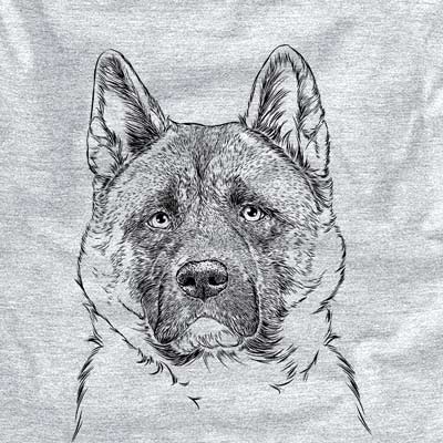Bo the American Akita