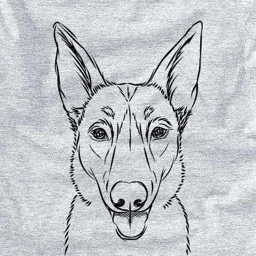 Lyric the Belgian Malinois