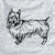 Halftone Australian Terrier