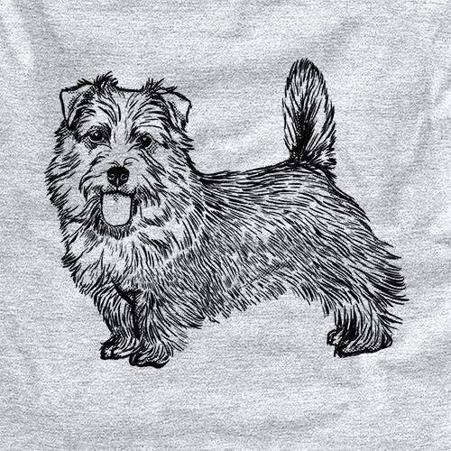 Halftone Norfolk Terrier