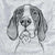 English Pointer - Inkopious