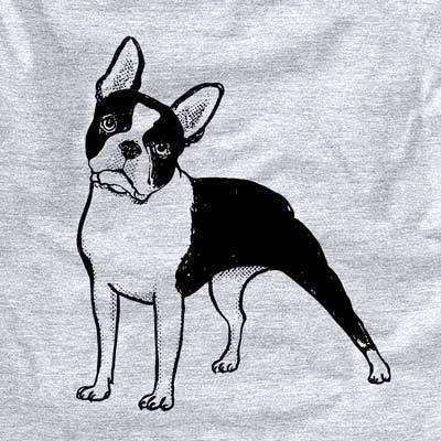 Halftone Boston Terrier