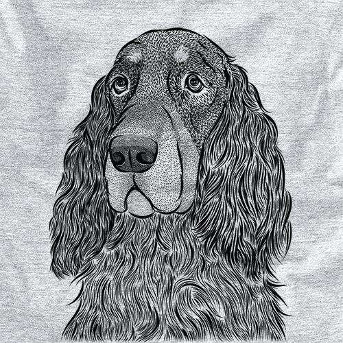 Stormy the Gordon Setter