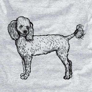 Halftone Toy Poodle