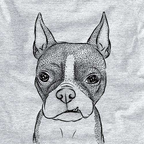 Bean the Boston Terrier