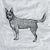 Halftone Australian Cattle Dog