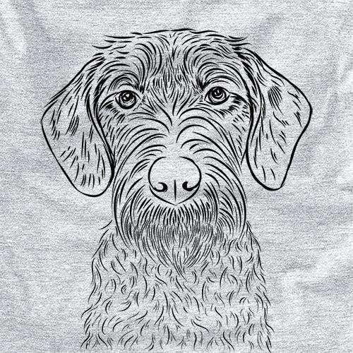 Gus the German Wirehaired Pointer