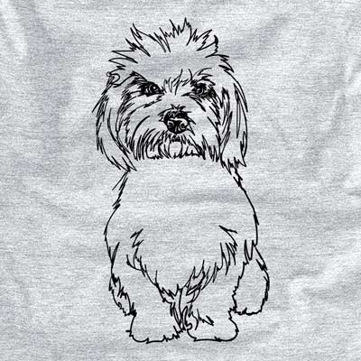 Doodled Fluffers the Coton de Tulear