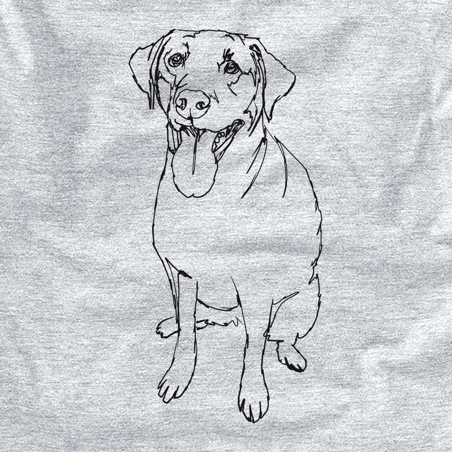 Doodled Labrador Retriever