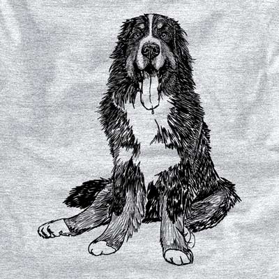 Doodled Moose the Bernese Mountain Dog