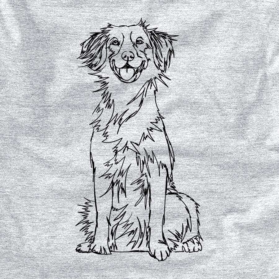 Doodled Nova Scotia Duck Tolling Retriever