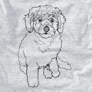 Doodled Puff the Labradoodle Puppy