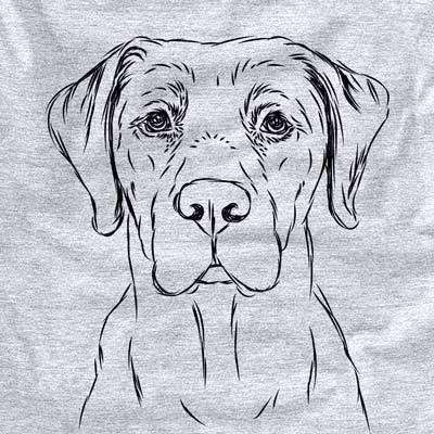 Rowdy the Labrador Retriever