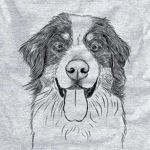 Blaze the Bernese Mountain Dog