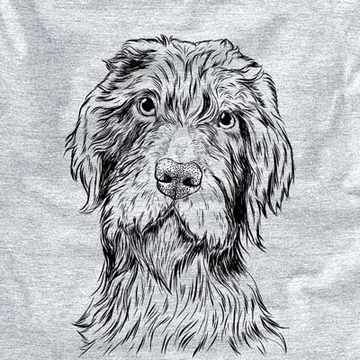 Doc Holliday the Pudelpointer