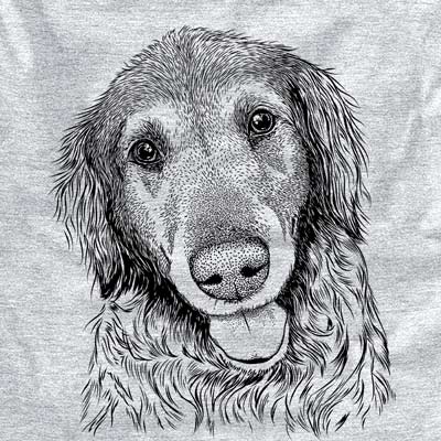 Duncan the Golden Retriever