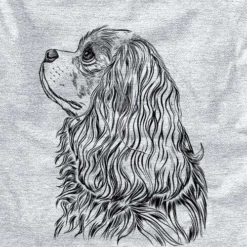 Profile Cavalier King Charles Spaniel