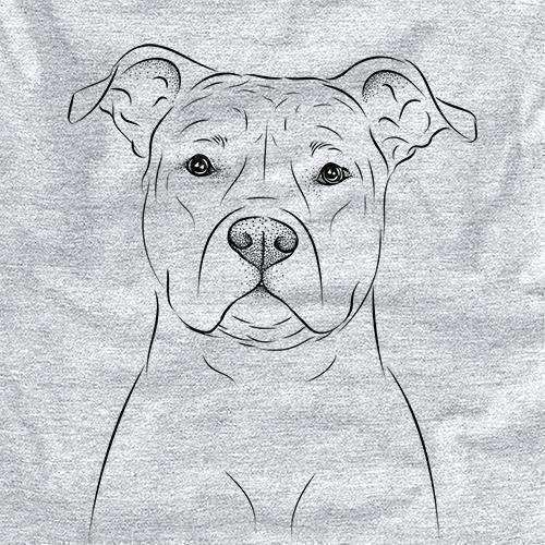 Jethro the American Staffordshire Terrier