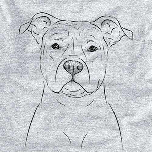 Jethro the American Staffordshire Terrier