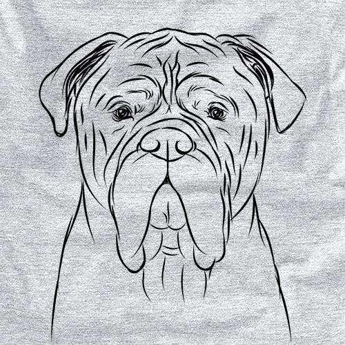 Nolan the Bull Mastiff