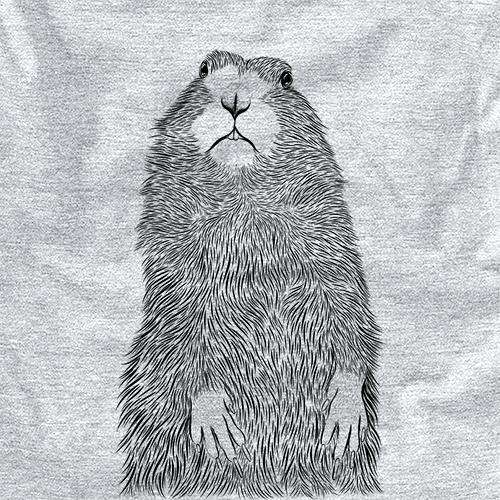 Mr. Otis the Prairie Dog