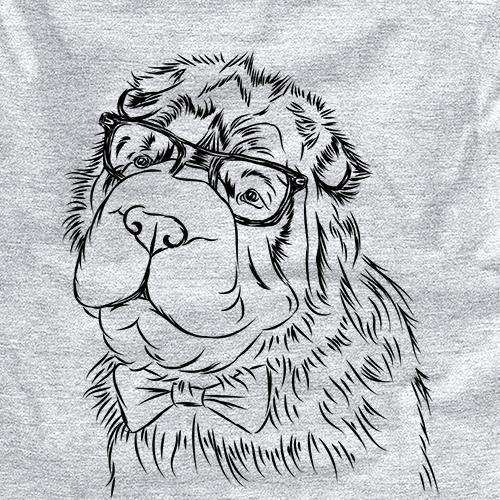 Einstein the Bear Coat Shar Pei