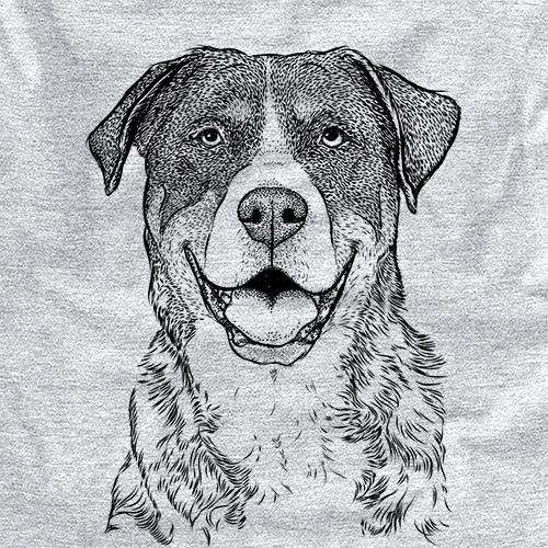 Leon the Greater Swiss Mountain Dog