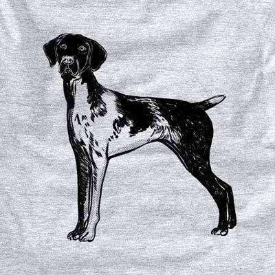 Halftone Docked German Shorthaired Pointer