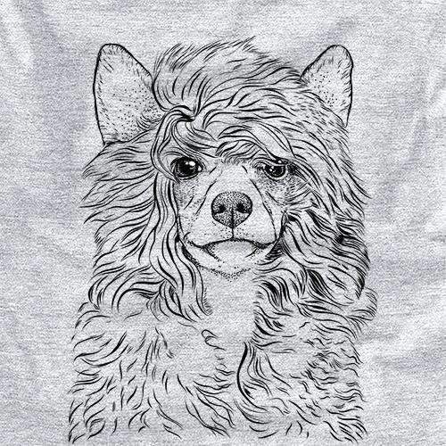 Preston the Powderpuff Chinese Crested