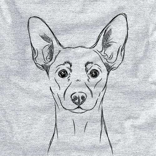 Chillie the Mini Pinscher