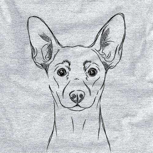 Chillie the Mini Pinscher