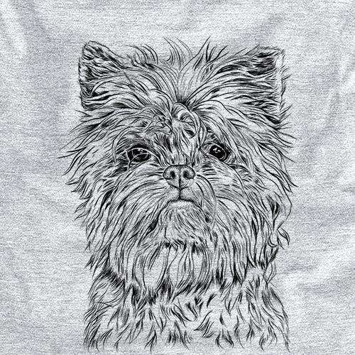 Alvin the Affenpinscher