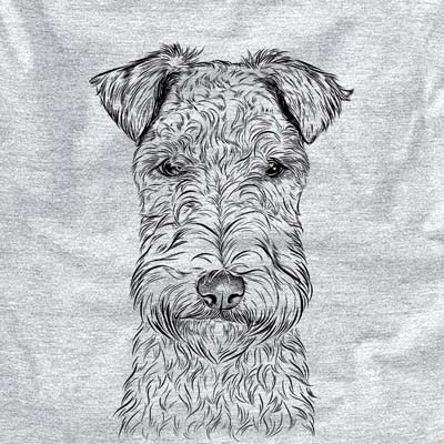 Frida the Lakeland Terrier