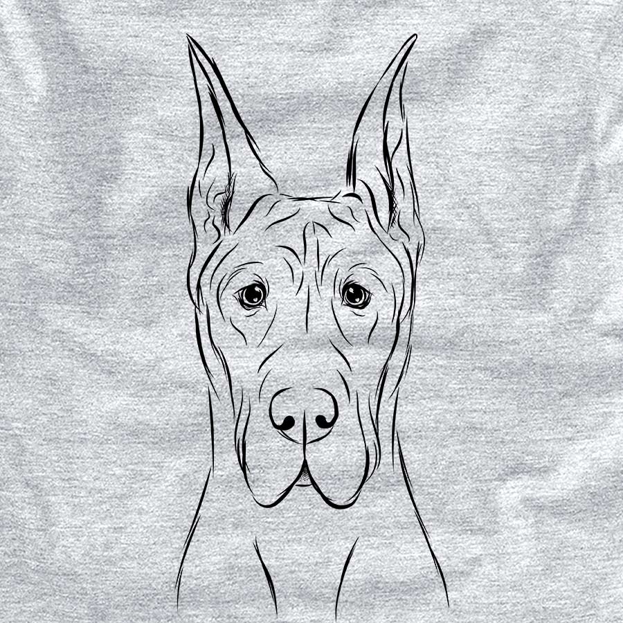 Jude the Great Dane