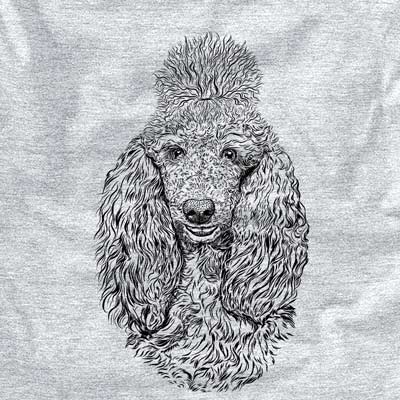 Kenna the Standard Poodle