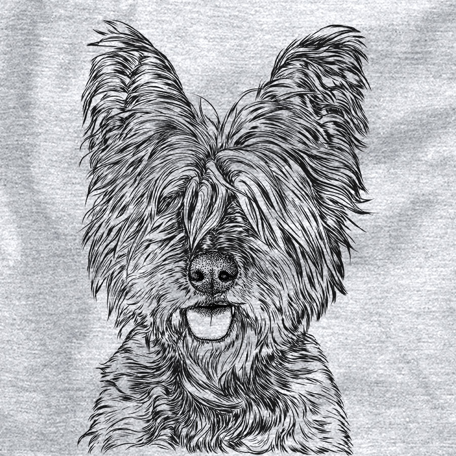 McDuff the Cairn Terrier