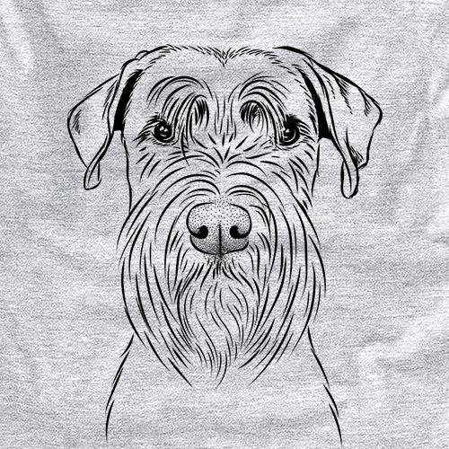 Milton the Standard Schnauzer