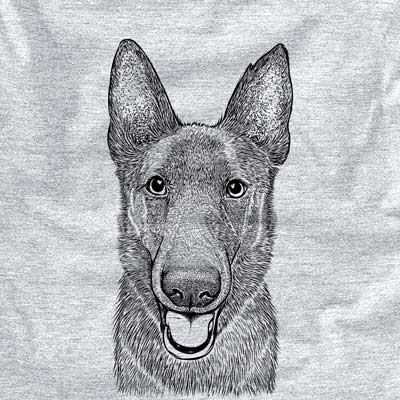 Nyx the German Shepherd