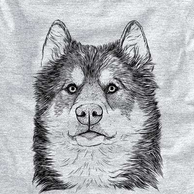 Oskar the Canadian Eskimo Dog