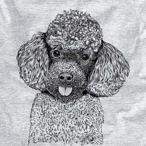 George the Toy Poodle