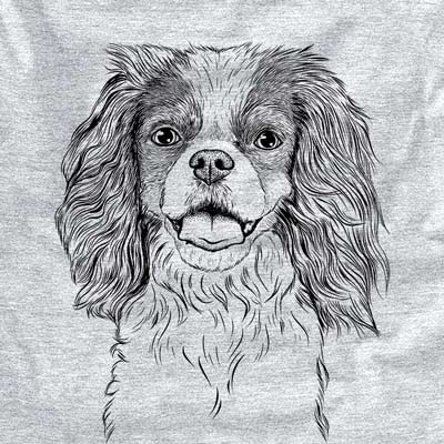 Poppy the Cavalier King Charles Spaniel