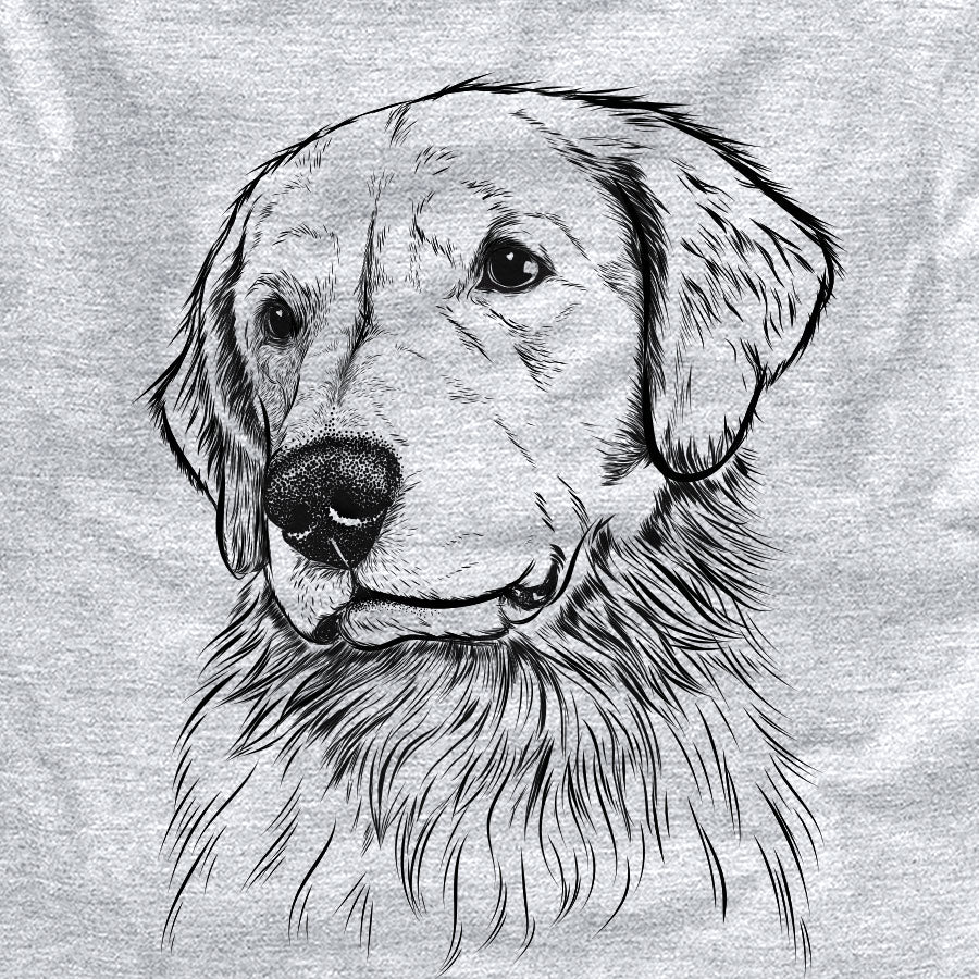 Quinn the Golden Retriever