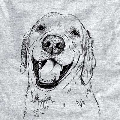 Spanky the Golden Retriever