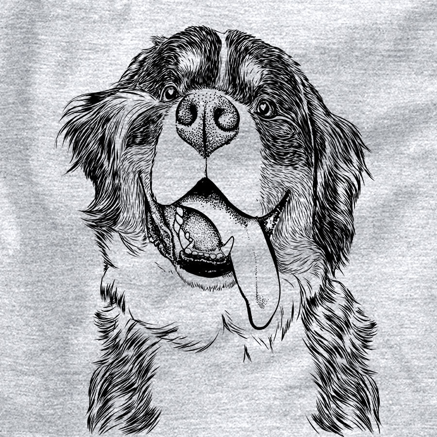 Theo the Bernese Mountain Dog