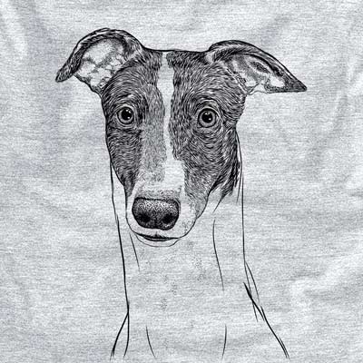 Vyncent the Greyhound