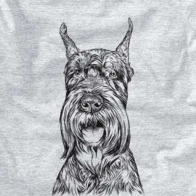 Zuri the Giant Schnauzer