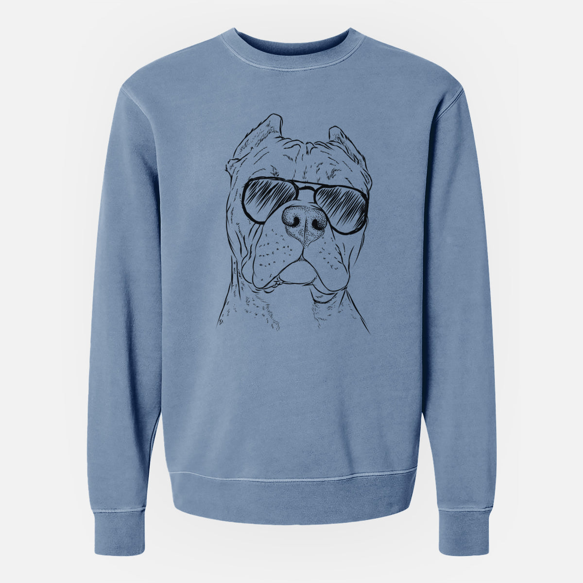Aviator Bam Bam the Pitbull - Unisex Pigment Dyed Crew Sweatshirt