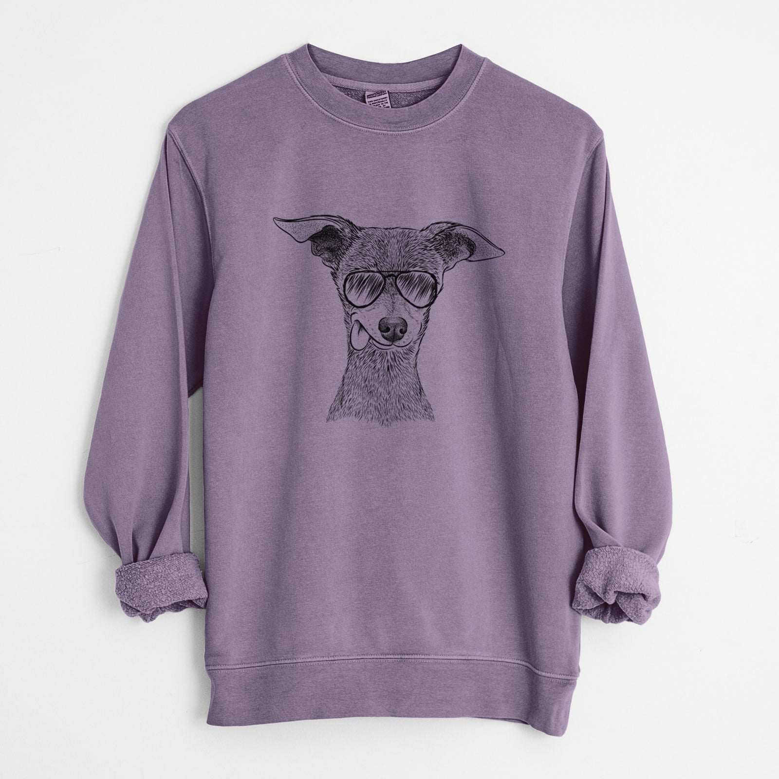 Aviator Bebe the Chihuahua - Unisex Pigment Dyed Crew Sweatshirt