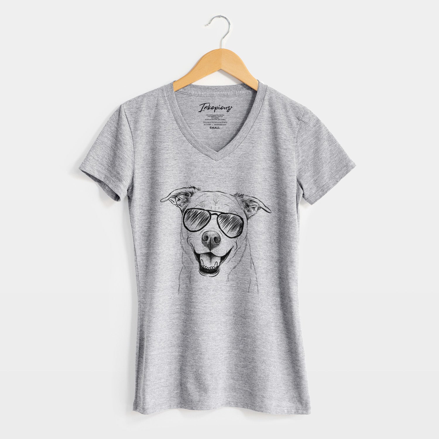 Aviator Carl the Mixed Breed - Women's V-neck Shirt