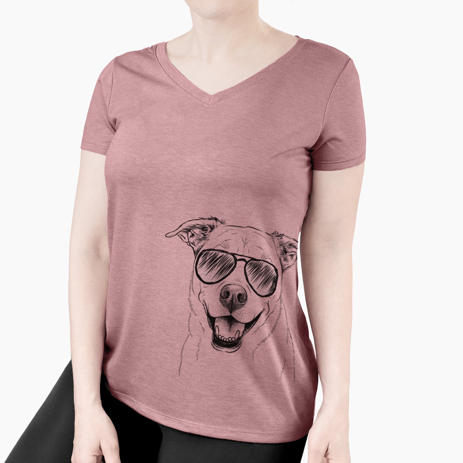 Aviator Carl the Mixed Breed - Women's V-neck Shirt